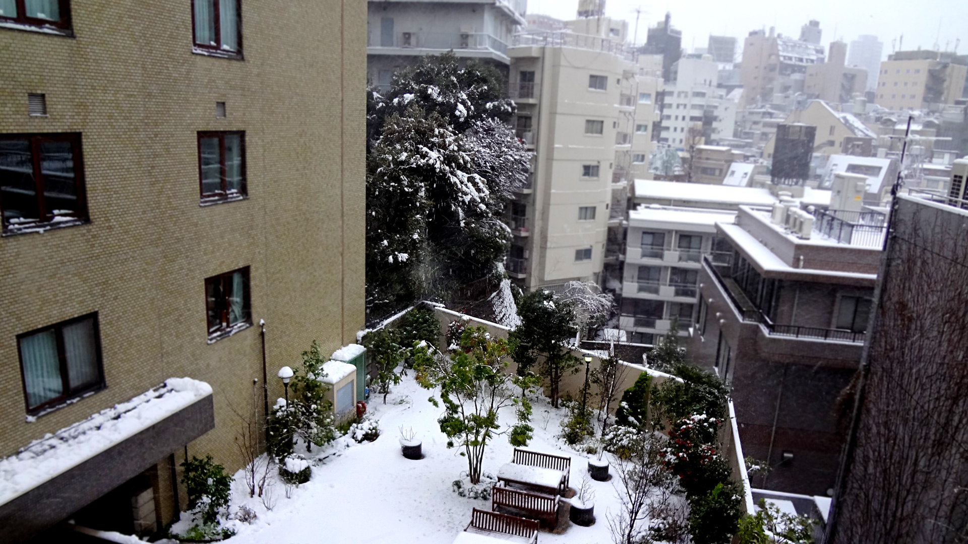 雪の東京